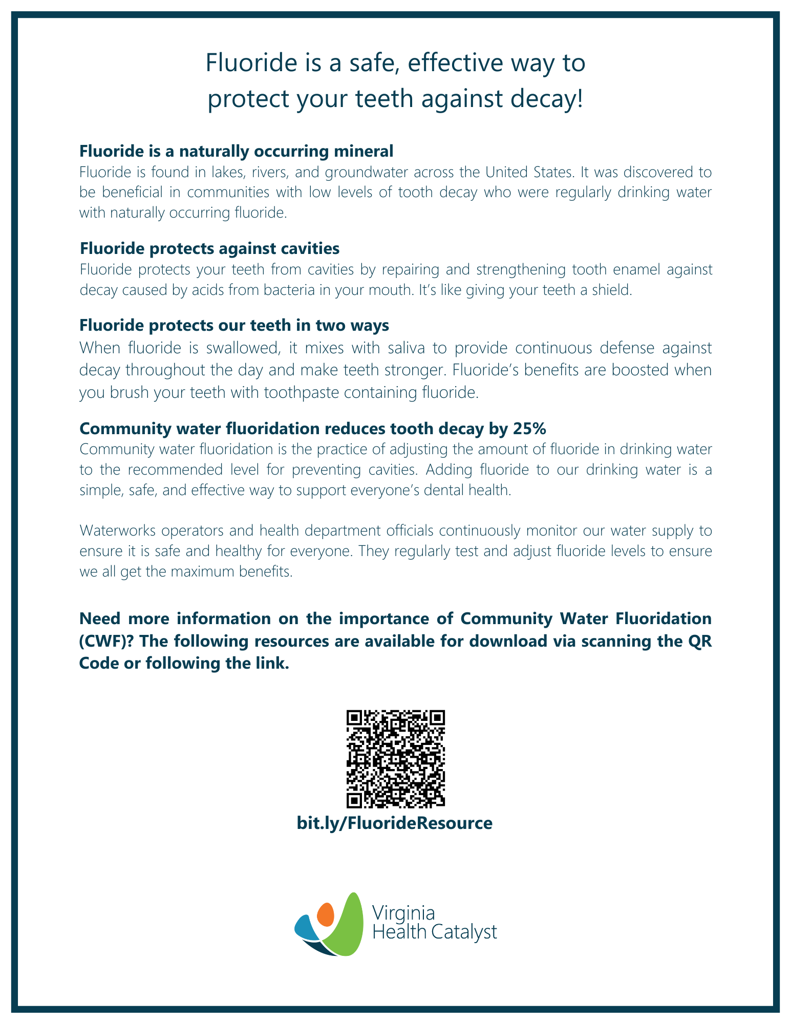 Fluoride One Pager